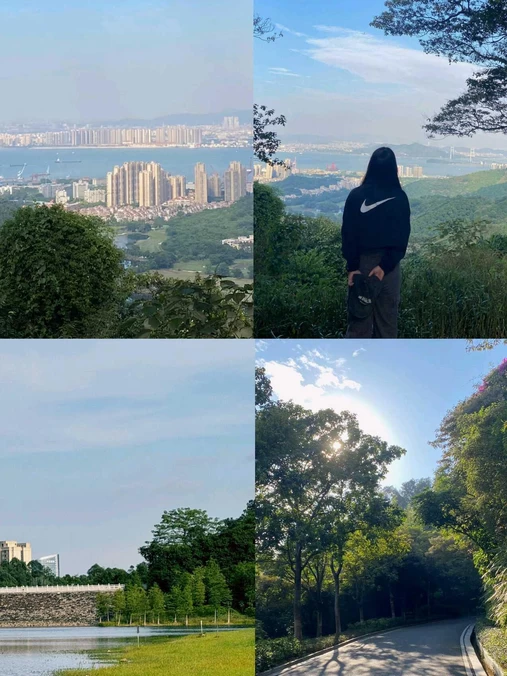 黄山鲁森林公园 - 广州市旅游