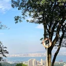 黄山鲁森林公园 - 广州市旅游 缩略图 2