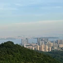 黄山鲁森林公园 - 广州市旅游 缩略图 9