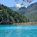 九寨沟景区 - 阿坝藏族羌族自治州旅游 缩略图 1