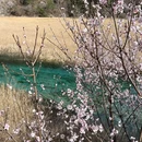 九寨沟景区 - 阿坝藏族羌族自治州旅游 缩略图 3