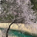 九寨沟景区 - 阿坝藏族羌族自治州旅游 缩略图 4