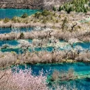 九寨沟景区 - 阿坝藏族羌族自治州旅游 缩略图 7