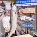 欧亚海鲜姿造·海鲜自助·帝王蟹·小青龙·榴莲(成都明悦大酒店) - 成都市旅游 缩略图 4