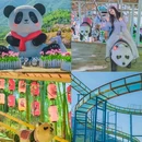 云上草原国际山地旅游度假区 - 湖州市旅游 缩略图 7