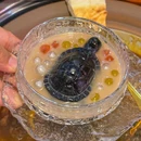 鹿龟甲·湖北招牌甲鱼(萧山店) - 杭州市旅游 缩略图 4