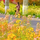 江苏省农业科学院植物保护研究所 - 南京市旅游 缩略图 2