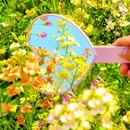江苏省农业科学院植物保护研究所 - 南京市旅游 缩略图 8