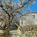 爷司露营咖啡(崂山店) - 青岛旅游 缩略图 2