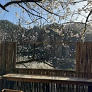 爷司露营咖啡(崂山店) - 青岛旅游 缩略图 7