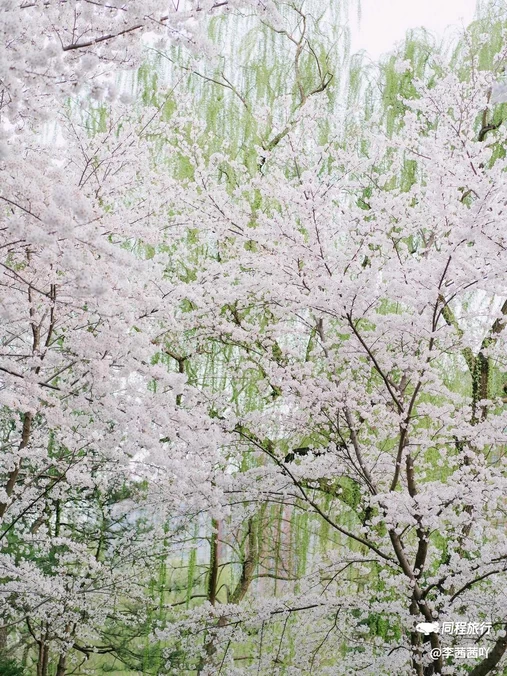 玉渊潭公园 - 北京市旅游