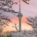玉渊潭公园 - 北京市旅游 缩略图 2