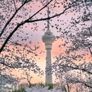 玉渊潭公园 - 北京市旅游 缩略图 9