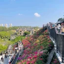 玉龙公园 - 深圳市旅游 缩略图 3