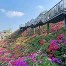 玉龙公园 - 深圳市旅游 缩略图 4