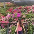 玉龙公园 - 深圳市旅游 缩略图 1