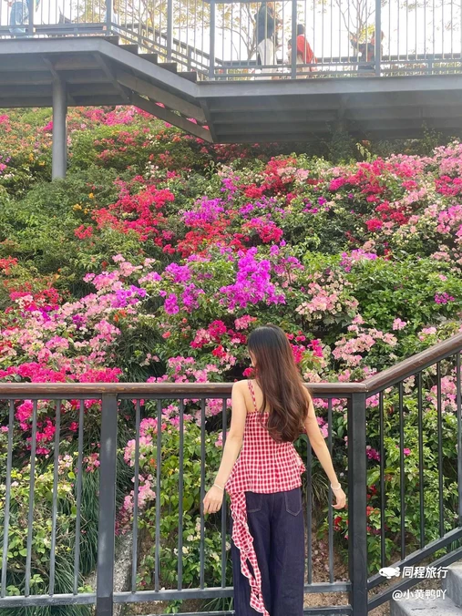 玉龙公园 - 深圳市旅游