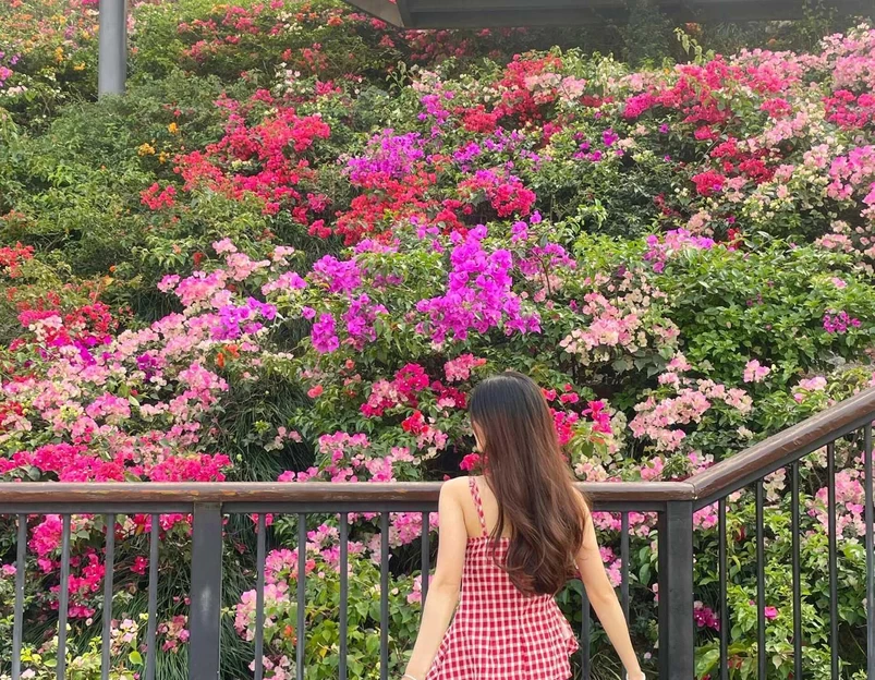 玉龙公园 - 深圳市旅游 1