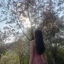 玉龙公园 - 深圳市旅游 缩略图 7
