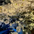 玄武湖景区 - 南京旅游 缩略图 1