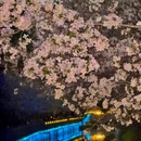 玄武湖景区 - 南京旅游 缩略图 4