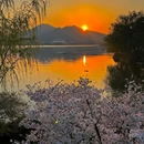 玄武湖景区 - 南京旅游 缩略图 3