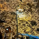 玄武湖景区 - 南京旅游 缩略图 5