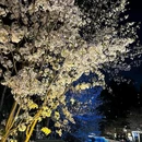 玄武湖景区 - 南京旅游 缩略图 9
