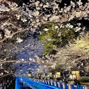 玄武湖景区 - 南京旅游 缩略图 7