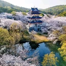 无锡太湖鼋头渚风景区 - 无锡市旅游 缩略图 2