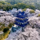 无锡太湖鼋头渚风景区 - 无锡市旅游 缩略图 1