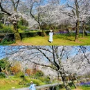 无锡太湖鼋头渚风景区 - 无锡市旅游 缩略图 5