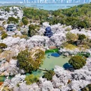 无锡太湖鼋头渚风景区 - 无锡市旅游 缩略图 8
