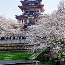 无锡太湖鼋头渚风景区 - 无锡市旅游 缩略图 9