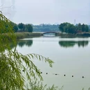 龙泉湖湿地 - 石家庄市旅游 缩略图 4