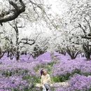 三台山森林公园-衲田景区 - 宿迁市旅游 缩略图 3