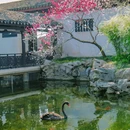 蠡园 - 无锡市旅游 缩略图 9