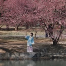 豳风桥 - 北京市旅游 缩略图 2