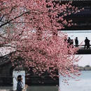 豳风桥 - 北京市旅游 缩略图 3