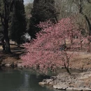 豳风桥 - 北京市旅游 缩略图 1