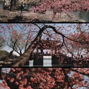 豳风桥 - 北京市旅游 缩略图 5