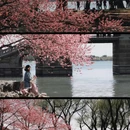 豳风桥 - 北京市旅游 缩略图 4