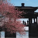 豳风桥 - 北京市旅游 缩略图 7