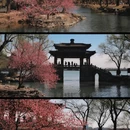 豳风桥 - 北京市旅游 缩略图 6