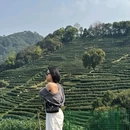 十里琅珰 - 杭州旅游 缩略图 7