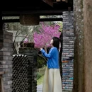 邛崃天台山天府红谷·耕读桃源民宿 - 成都市旅游 缩略图 4