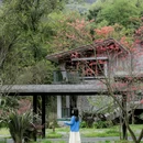 邛崃天台山天府红谷·耕读桃源民宿 - 成都市旅游 缩略图 2