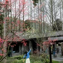 邛崃天台山天府红谷·耕读桃源民宿 - 成都市旅游 缩略图 7