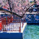 颐和园-西堤 - 北京市旅游 缩略图 1