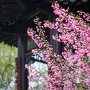 莫愁湖公园-莫愁女 - 南京市旅游 缩略图 3